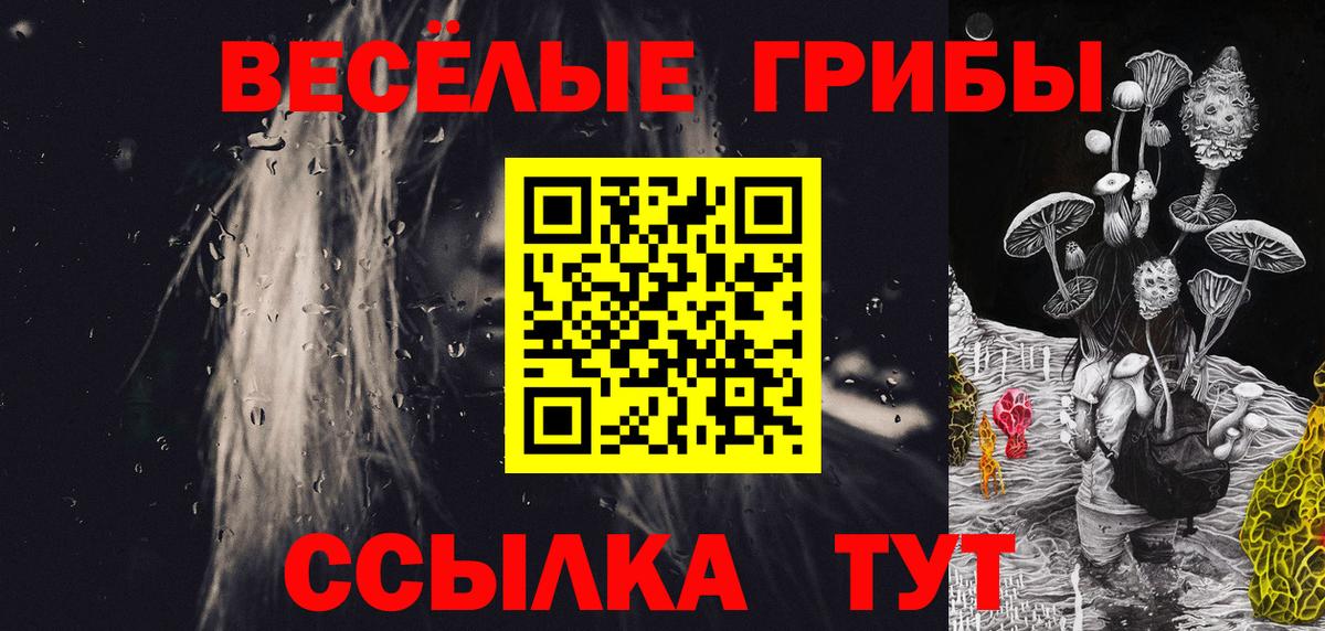 Зеленодольск  Псилоцибиновые грибы MAGIC MUSHROOMS  Вход с VPN 